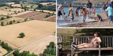 Watertekort nationaal erkend, hittegezondheidswaarschuwing van kracht