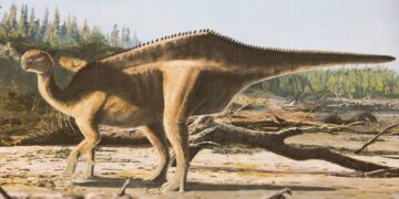 Nieuwe dinosaurus vernoemd naar recordbrekende zeilster