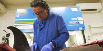 Onderzoek naar zeeleven: de lab die stille dood veroorzaakt onderzoekt.