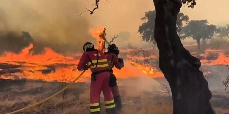 Miljoenen mensen bedreigd door bosbranden bij hun huis, blijkt uit onderzoek.