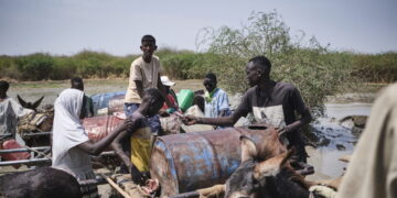 Cholera eist tol in Zuid-Darfur: 158 doden sinds mei