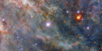 Hubble ontdekt gigantische nieuwe sterrenplant