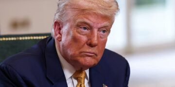 Trump ontmoet Poetin: Zelenski ziet kans voor dialoog.