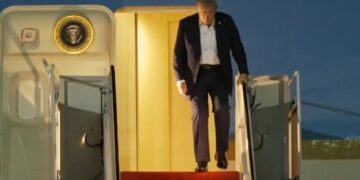 Terugkeer van Paled Trump: van Alaska naar huis