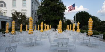 Bliksem en charme: tegenmaatregelen voor Trump – Zelenski afspraak