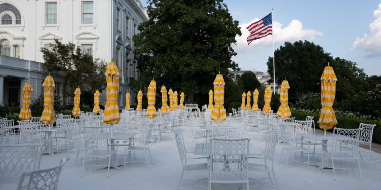 Bliksem en charme: tegenmaatregelen voor Trump – Zelenski afspraak