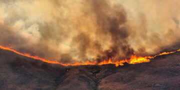 Dodelijke branden teisteren Zuid-Europa: vier doden in Spanje, Turkije, Montenegro en Albanië