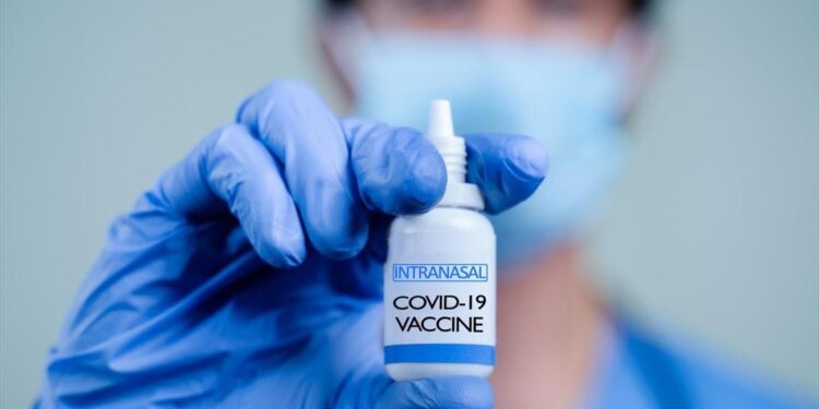 Trump’s invloed op aandelen Covid-vaccinbedrijven: leer voor beleggers