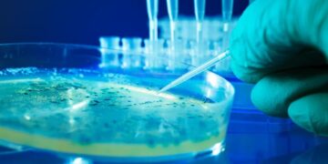 Wetenschappers creëren AI-ontworpen virussen