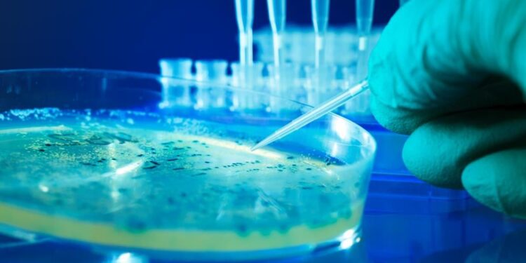 Wetenschappers creëren AI-ontworpen virussen