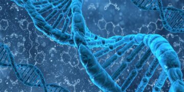 Gentherapie biedt hoop bij ziekte van Huntington