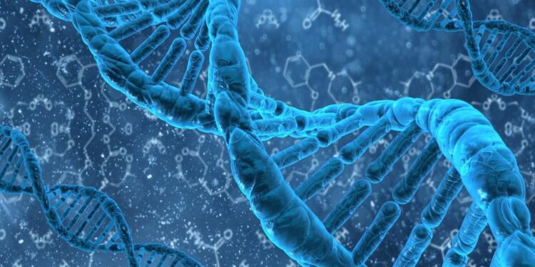 Gentherapie biedt hoop bij ziekte van Huntington