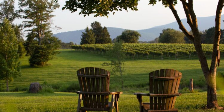 Opgegroeid in Virginia: een leven vol herinneringen