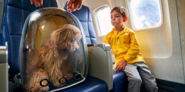 Historische primeur: grote honden vliegen mee in passagierspositie.