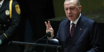 Erdogan steunt Trump in beëindigen Gaza-oorlog