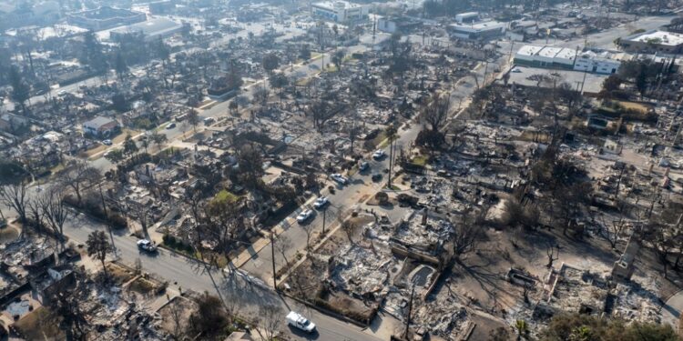 Miljoenen verzameld voor Los Angeles branden voor huisdieren, NGO’s en inclusie