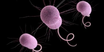 Stijging van ‘nachtmerrie bacteriën’ gevallen in de VS