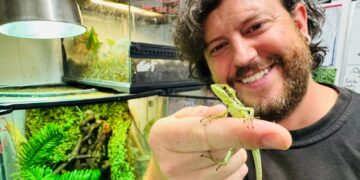 Lizard baart zonder paring: zeldzaam fenomeen in dierenrijk