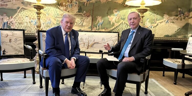 Erdogan in de Bazaar van de Machtige Residentie