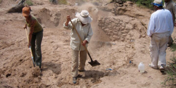 Schedels van 7,7 miljoen jaar oude olifanten opgegraven in Caesarea