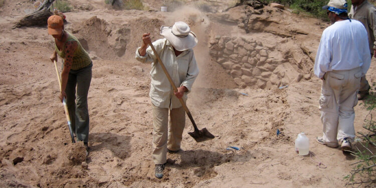Schedels van 7,7 miljoen jaar oude olifanten opgegraven in Caesarea