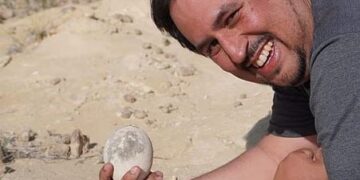 Dinosaurusei met foetaal materiaal ontdekt