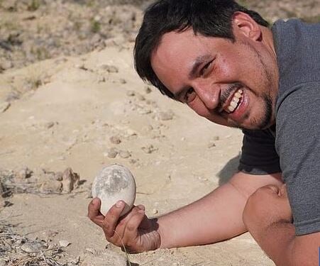 Dinosaurusei met foetaal materiaal ontdekt