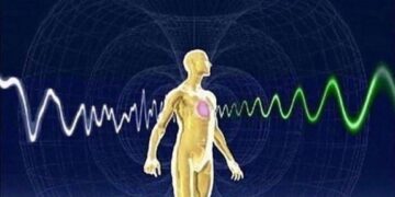 Het belang van het zesde zintuig voor menselijke gezondheid