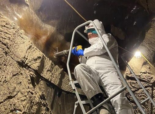 Ziektekiemen na 40.000 jaar weer tot leven gewekt