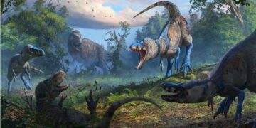 Nieuwe mini Tyrannosaurus ontdekt in Nederlandse bodem