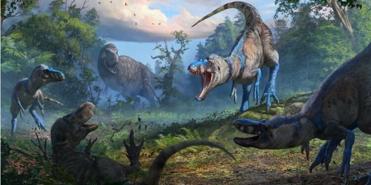 Nieuwe mini Tyrannosaurus ontdekt in Nederlandse bodem