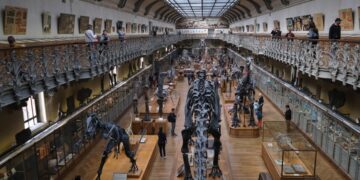 Chinese vrouw steelt 1,5 miljoen euro aan goud uit Natuurhistorisch Museum Parijs