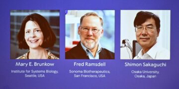 Winnaars Nobelprijs Geneeskunde 2021: baanbrekend onderzoek dit jaar