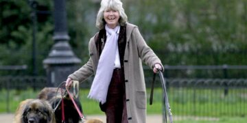 Politici eren Tory-supporter en plattelandsactiviste Dame Jilly Cooper