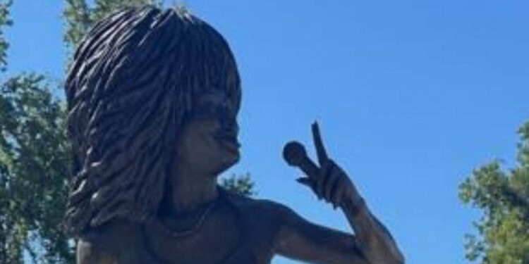 Boze fans van Tina Turner in Tennessee: standbeeld brengt teleurstelling.