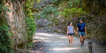 Louisiana: must-see bestemming voor natuurliefhebbers