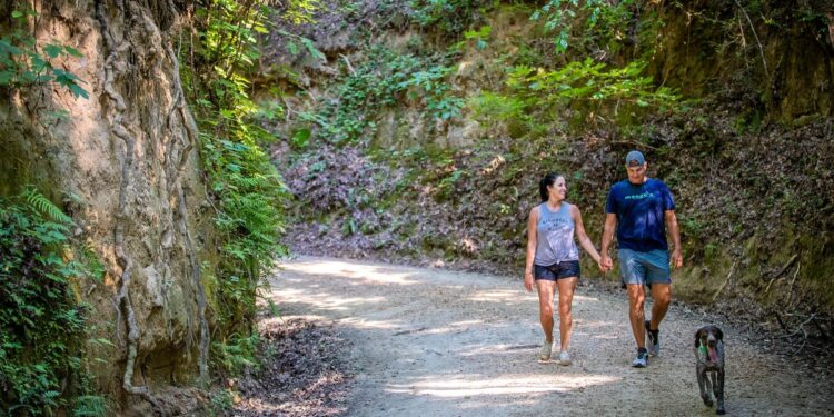 Louisiana: must-see bestemming voor natuurliefhebbers