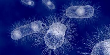 Wetenschappers hacken gesprekken bacteriën voor preventie mondziekten.