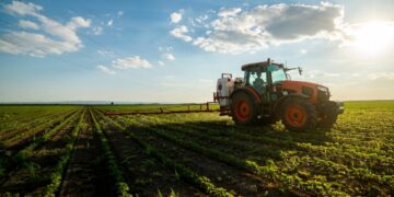 EU versoepelt regelgeving en verhoogt betalingen voor boeren