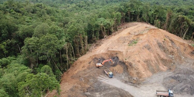Brazilië leidt in CO2-reductie door vertraging ontbossing