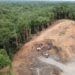Brazilië leidt in CO2-reductie door vertraging ontbossing