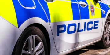 17-jarige meisje doodgestoken in Wales: moeder hoorde haar geschreeuw