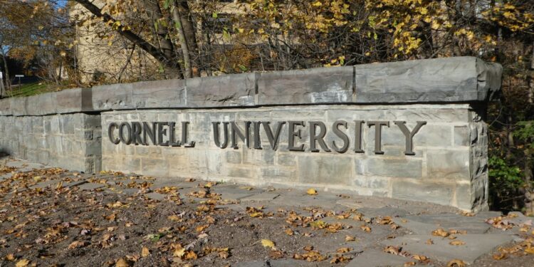 Grote daling van internationale studenten in Amerikaanse universiteiten