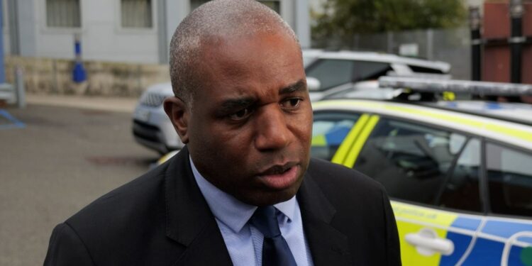 Foutieve vrijlatingen bieden kans voor justitieminister, zegt Harriet Harman.