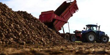 Principeakkoord EU-landbouwsubsidies: versoepeling groene regels op komst