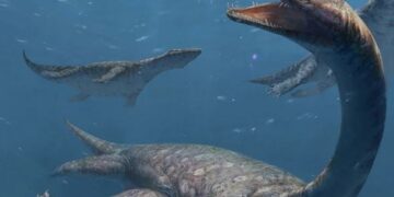 Oud zeemonster met enorme nek herontdekt