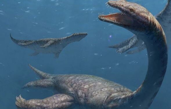 Oud zeemonster met enorme nek herontdekt