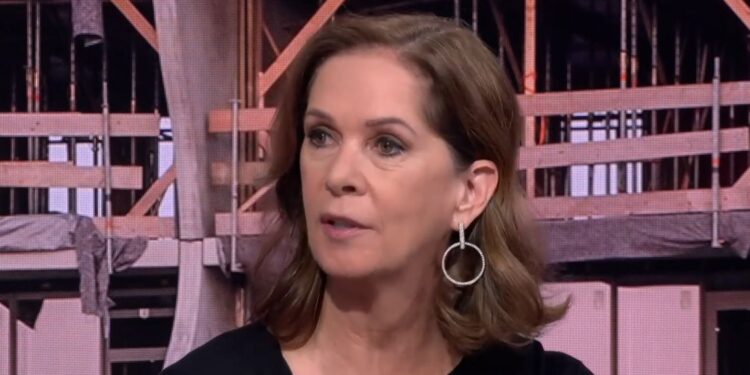 Annemarie van Gaal bekritiseert stedenplan Rob Jetten en zzp’ers: ‘Laat ze hun werk doen’