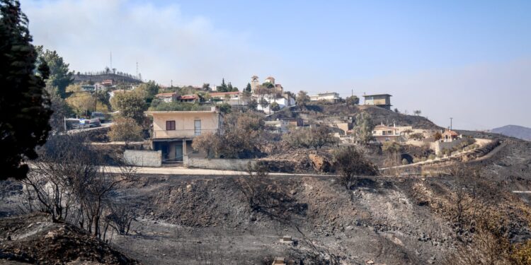 Zomerbrandweerlieden 2025: handhavingsacties tijdelijk gestaakt