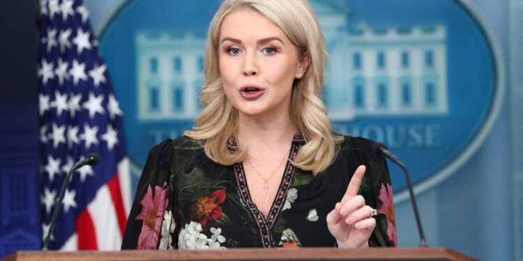 Epstein’s e-mails gebruikt om Trump te belasteren